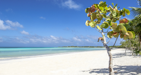 Jardines Del Rey