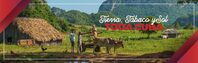 Guama Circuito Andando El Centro Cuba@X2